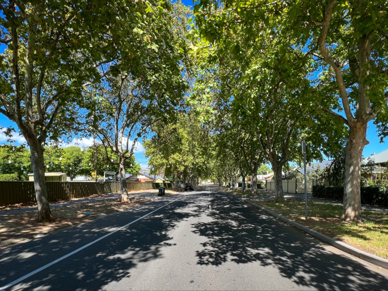 MicrosoftTeams-image (14).png